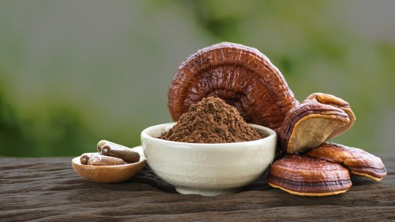 Types of Amazing Lingzhi Products 21 Lingzhi mushroom (Ganoderma Lucidum) Powder & Capsules