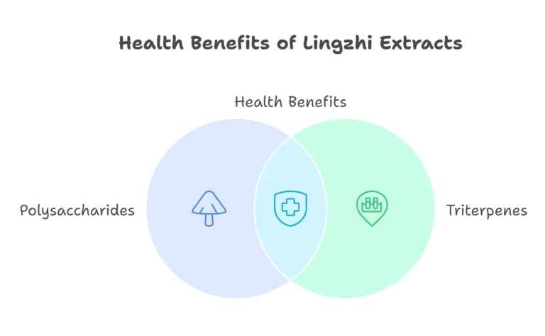 Understand The Difference Between Lingzhi Spore Powder and Lingzhi Spore Oil in 3 Minutes visual selection 3
