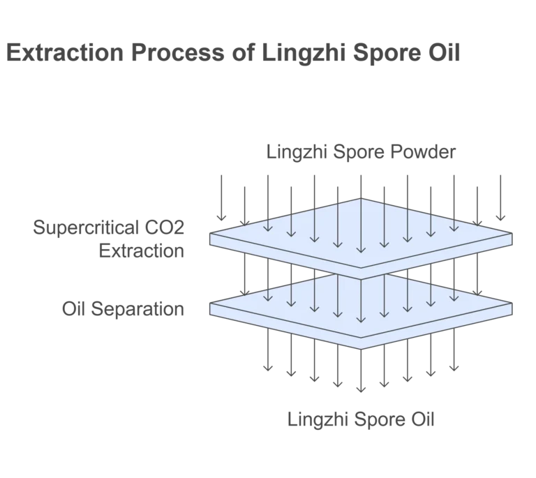 lingzhi spore oil extraction