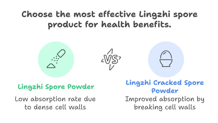 Lingzhi spores powder vs Cracked spores powder