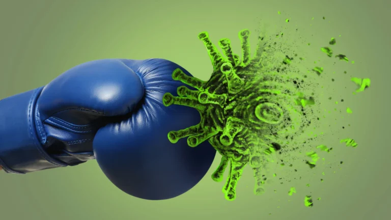 The Immune System: 10 Ways to Protect Our Body from Within 6 The Immune System